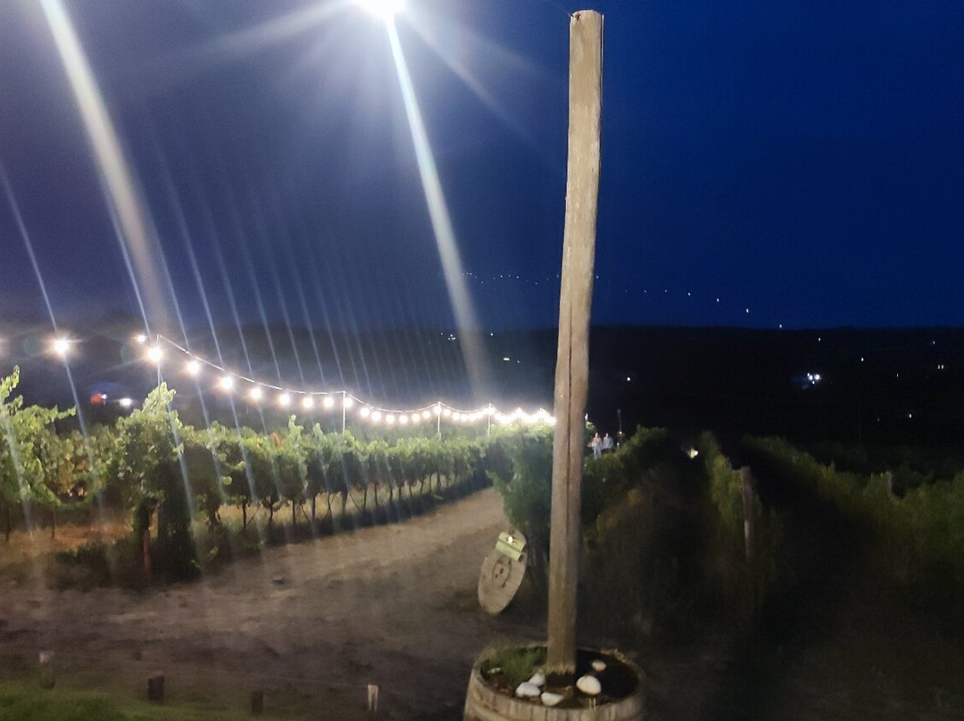 Cantine Capitani-Trevignano Romano必去景点