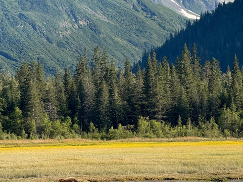 Northwind Aviation LLC-荷马必去景点