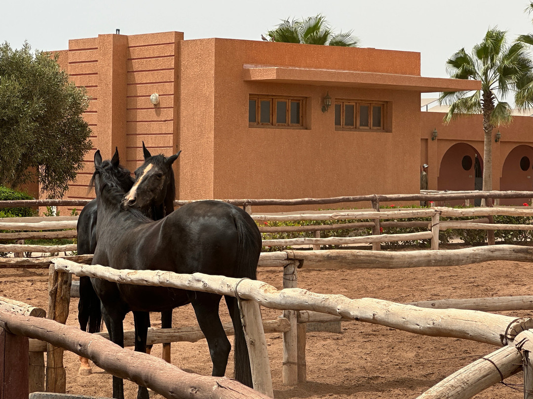 Club Equestre Lamzar-阿加迪尔必去景点