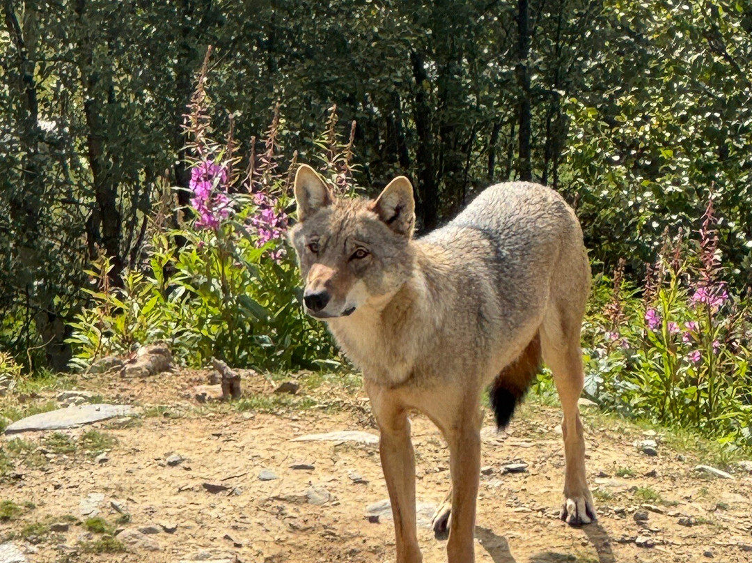Langedrag Nature Park-Nesbyen必去景点