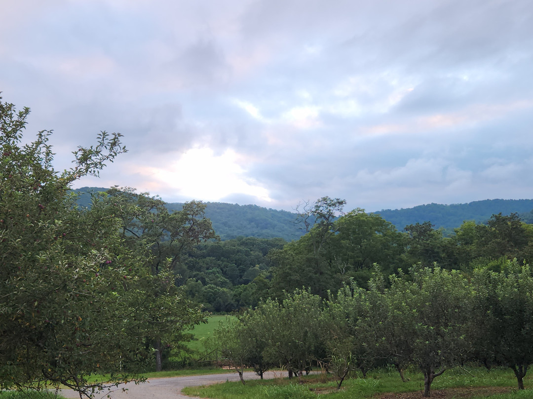 Peaks of Otter Winery-Bedford必去景点