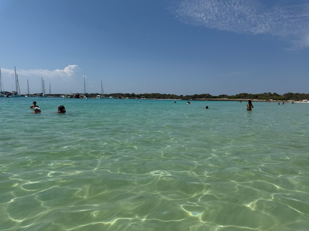 Platges de Son Saura-休达德亚必去景点