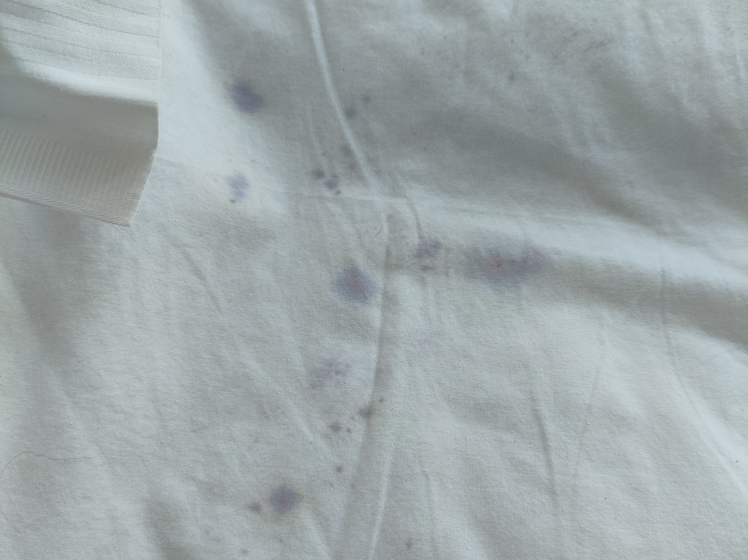 La Battigia B&b主图