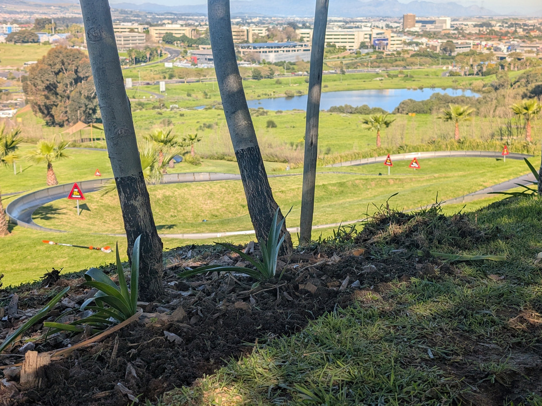 Cool Runnings-Bellville必去景点