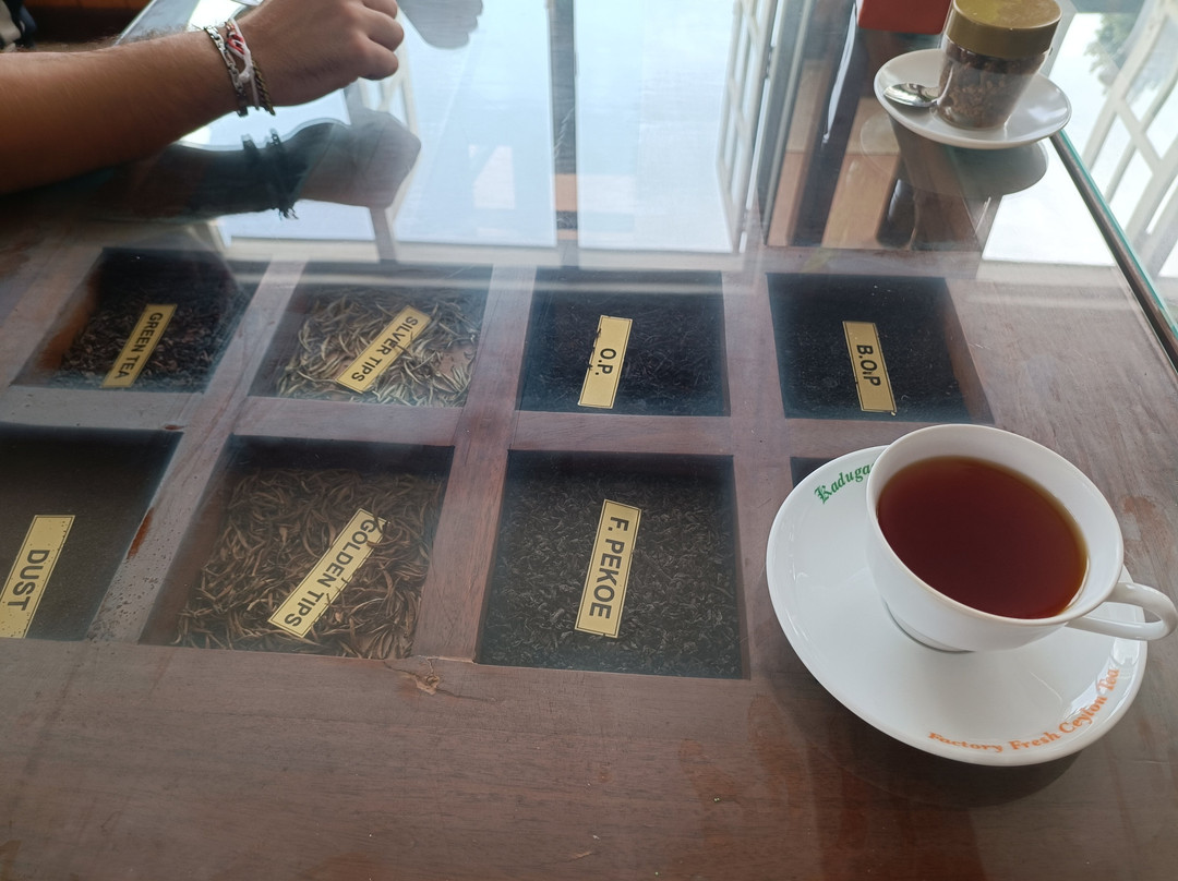 Kurugama Tea Factory-康提必去景点