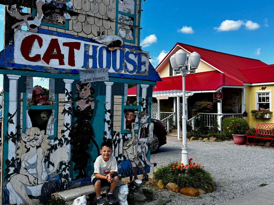 Smoky Mountain Cat House-皮金福奇必去景点
