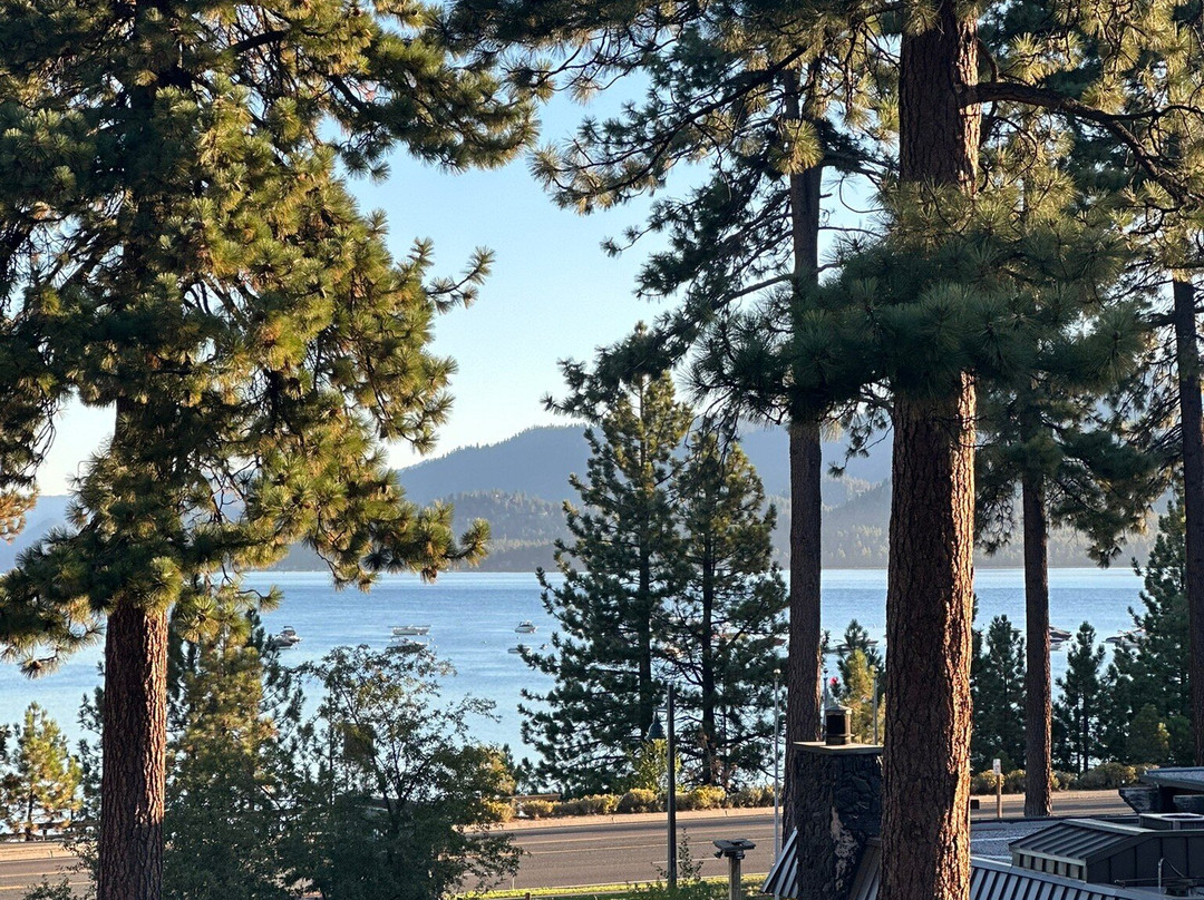 Hotel Azure Tahoe主图