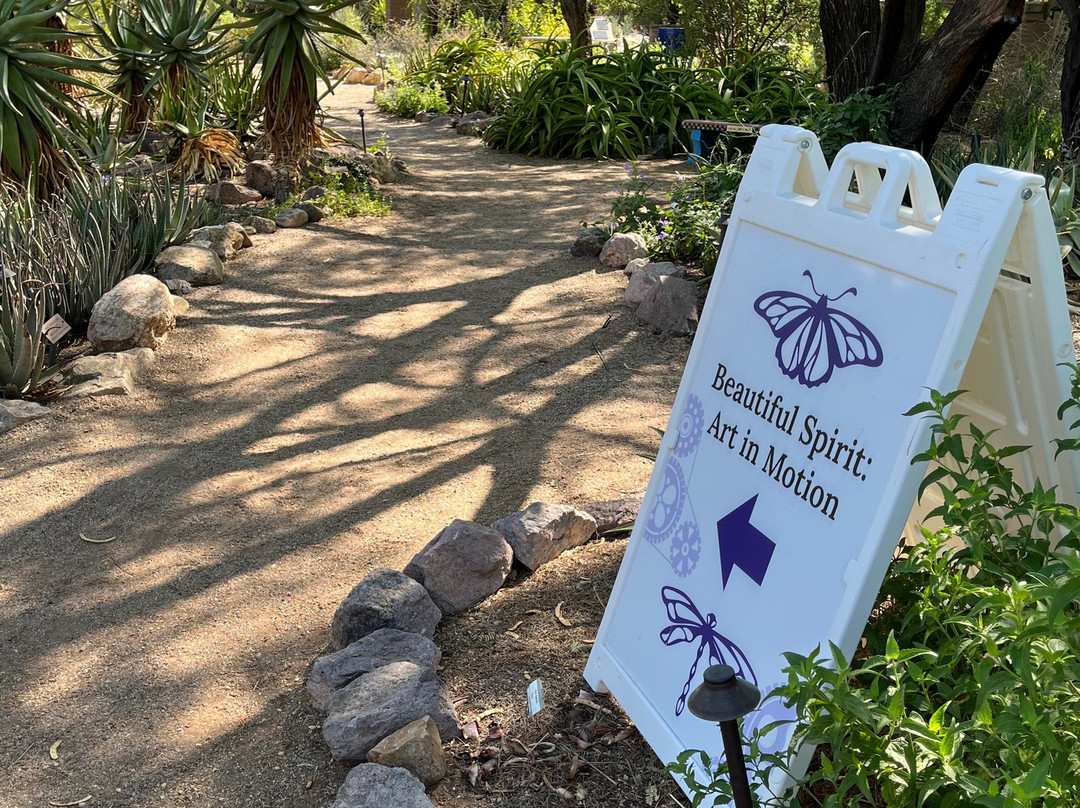 Tucson Botanical Gardens-图森必去景点