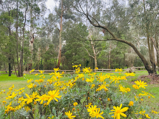 Ripplebrook Cemetery-Ripplebrook必去景点