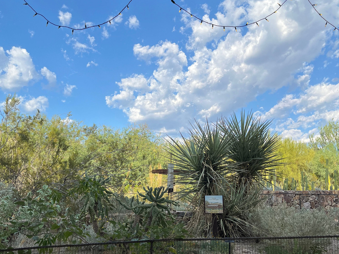 Tohono Chul-图森必去景点