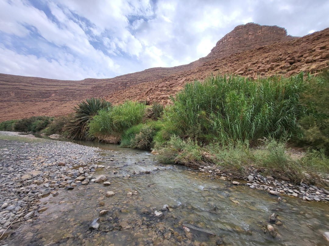 Kasbah Hotel Jurassique主图