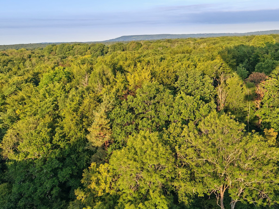 Virgin Balloon Flights - Guildford-吉尔福德必去景点