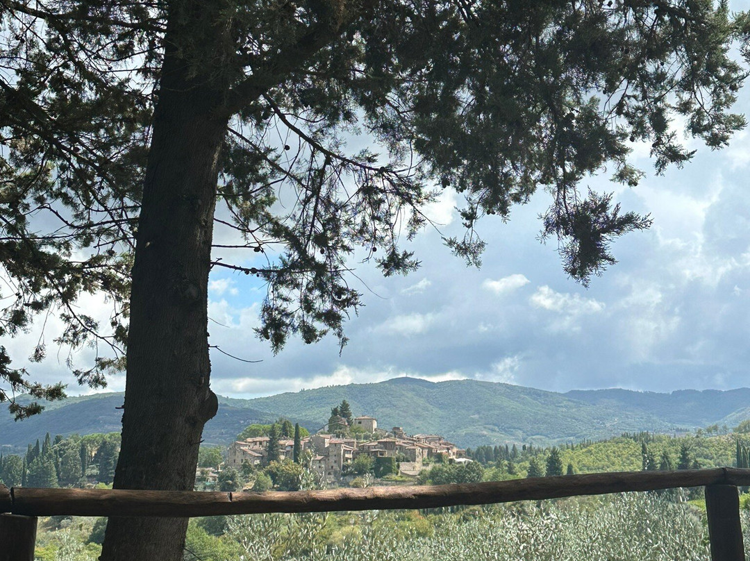 Podere Bucine Winery-格雷韦伊恩基亚恩蒂必去景点