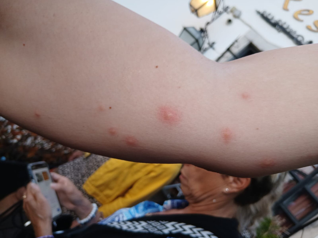 Hotel Club D'Azeitão主图