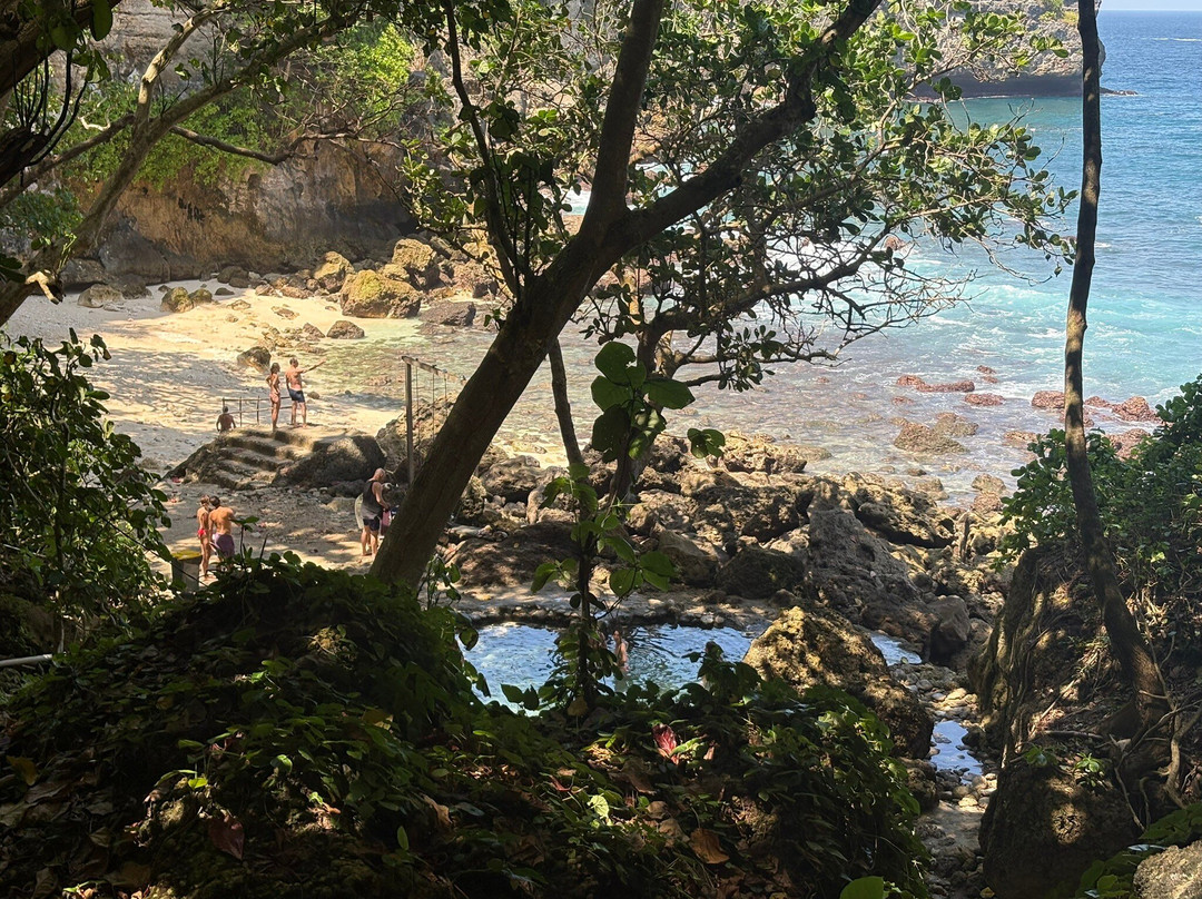 Tembeling Beach and Forest-珀尼达岛必去景点