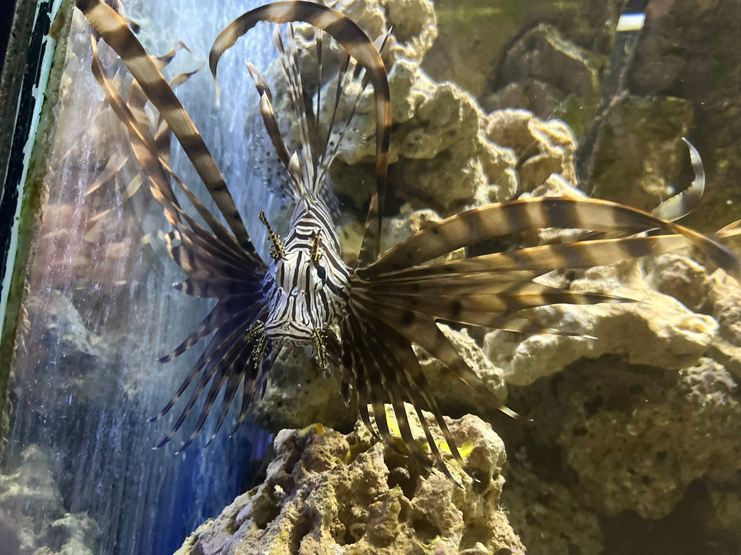 Matlock Bath Aquarium & Exhibitions-Matlock Bath必去景点