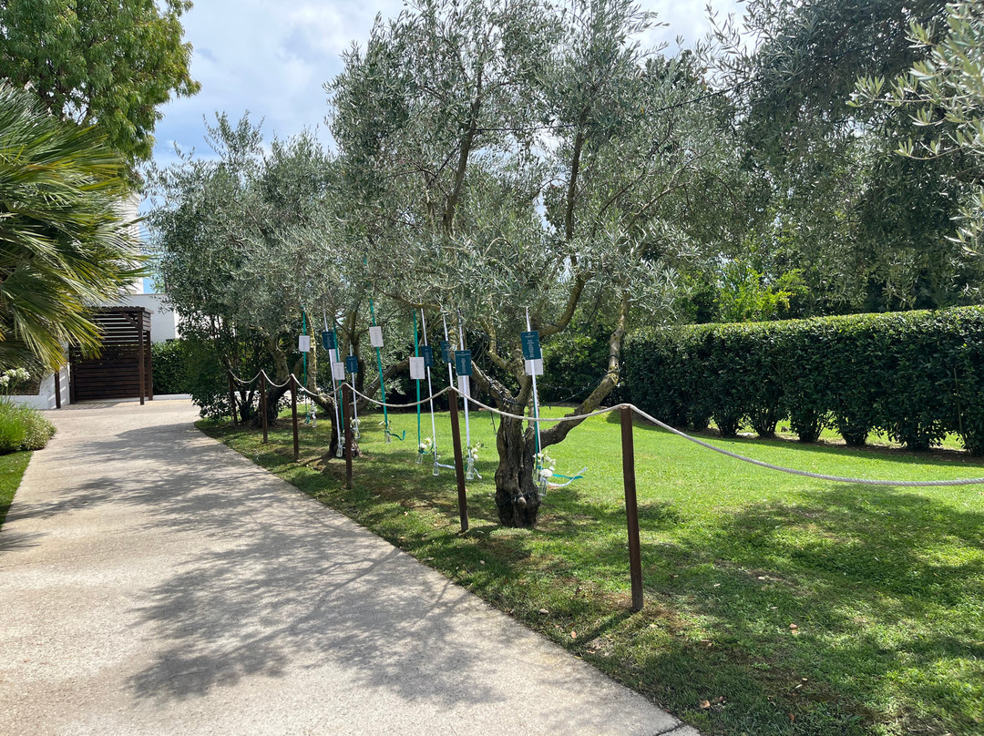 Hotel La Chiave Bianca主图