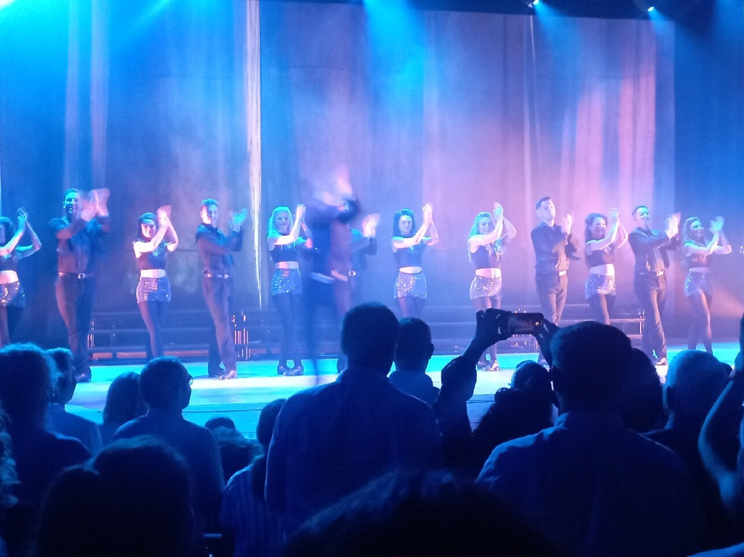 Siamsa Tire Theatre & Arts Centre-特拉利必去景点