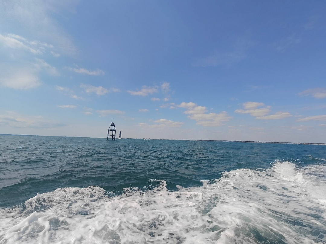 Sussex Sea Charters-West Itchenor必去景点