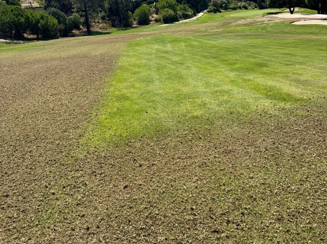 San Lorenzo Golf Course-Quinta do Lago必去景点