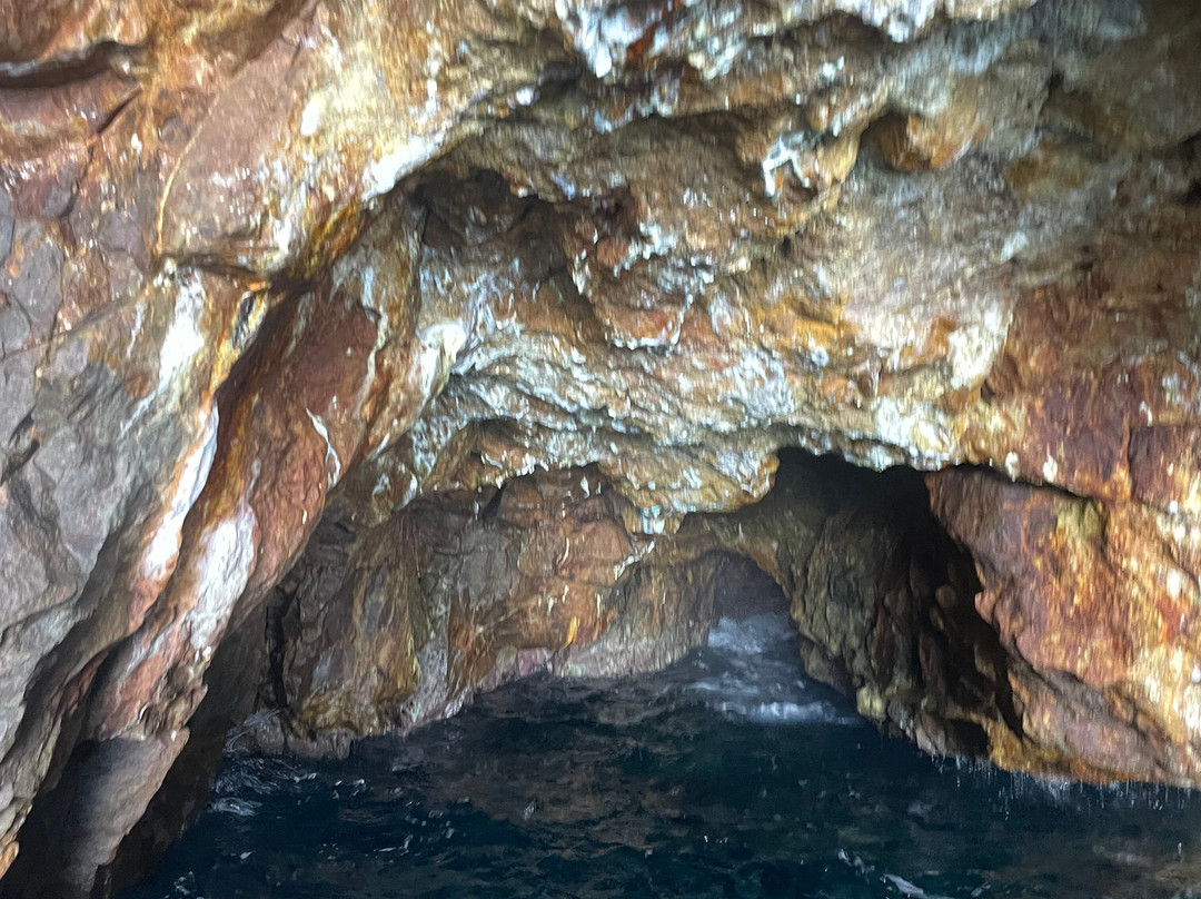 Piloto Diving-Capo Vaticano必去景点