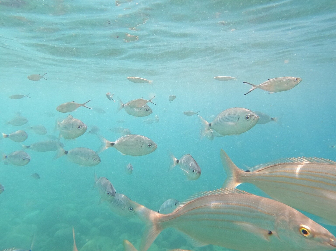 Cala El Raco-卡尔佩必去景点