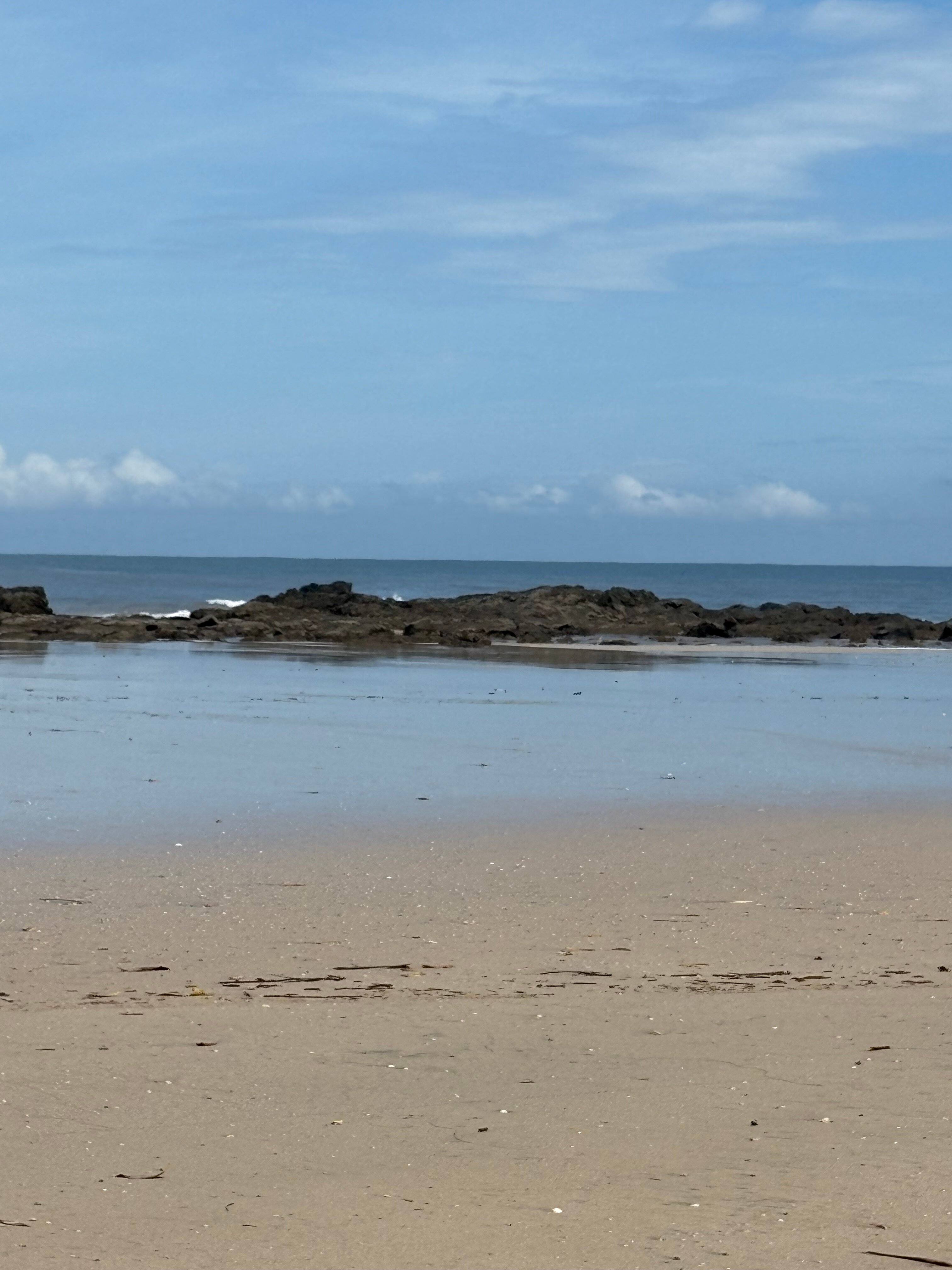 Hotel El Manglar-官方