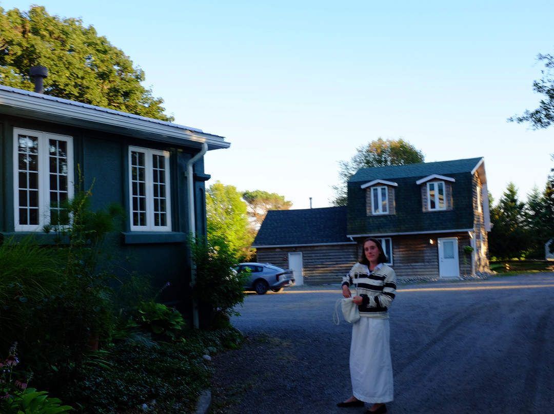 Angeline's Inn主图