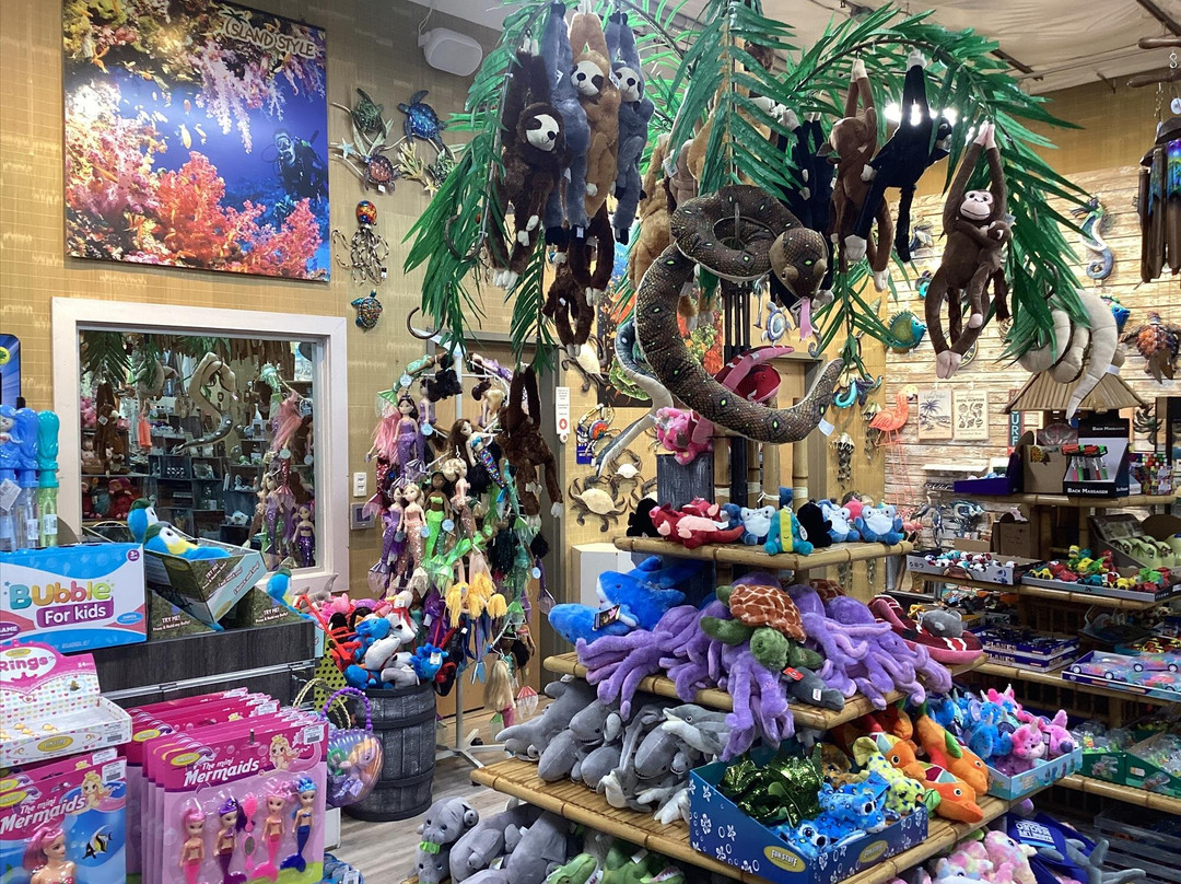 Island Style-纳瓦拉必去景点