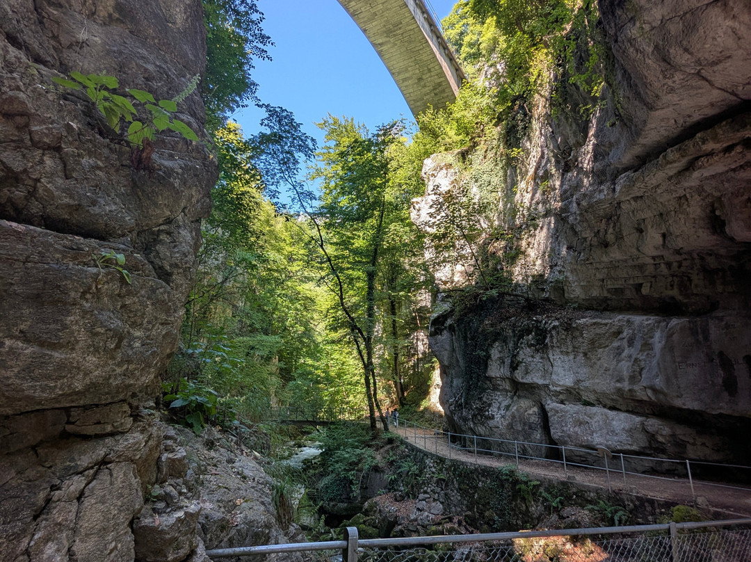 Taubenlochschlucht-比尔必去景点