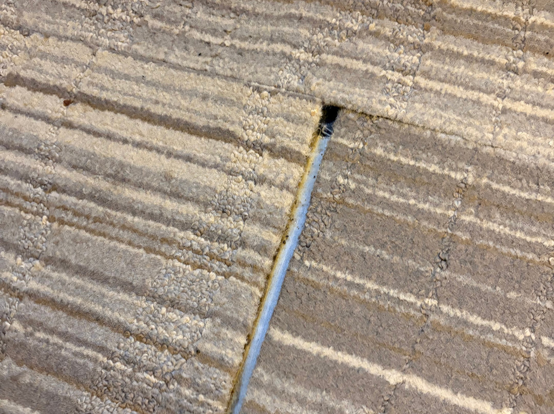 奥利安希尔顿恒庭酒店主图