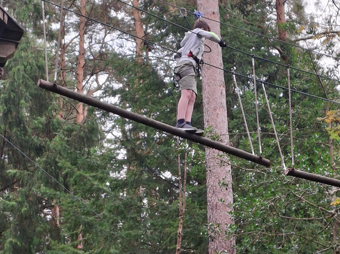 Go Ape Haldon Forest Park-埃克塞特必去景点