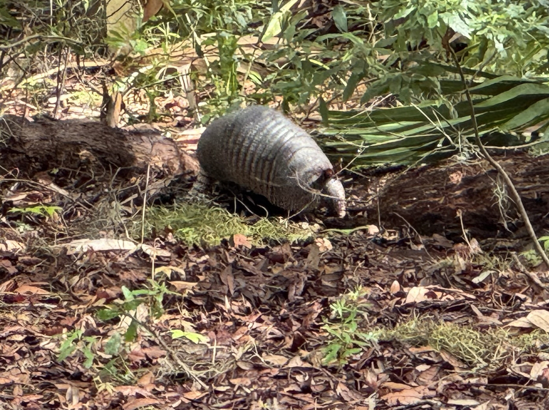 Cumberland Island Ferry-St. Marys必去景点