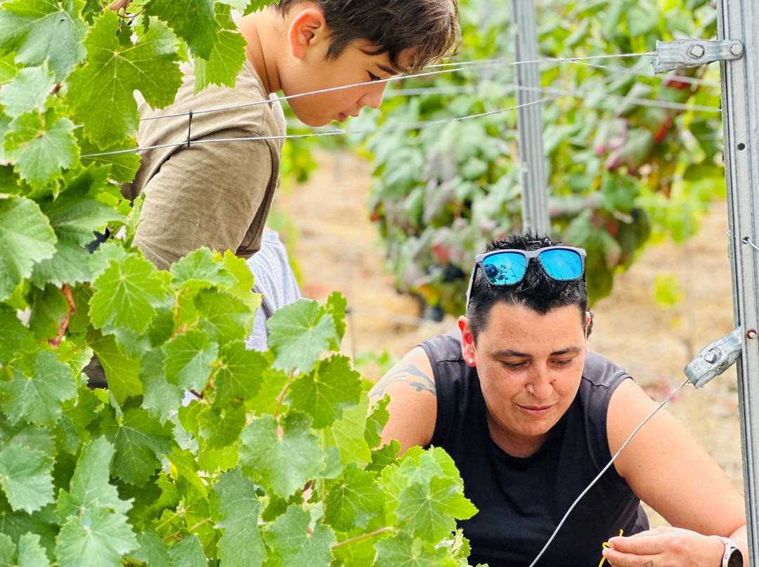 El Secreto Del Monje-Panton必去景点