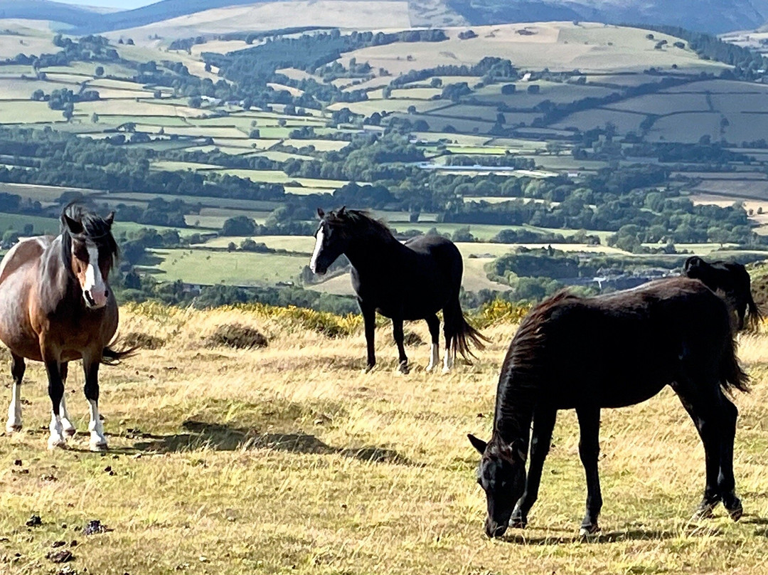 Hergest Ridge-Kington必去景点