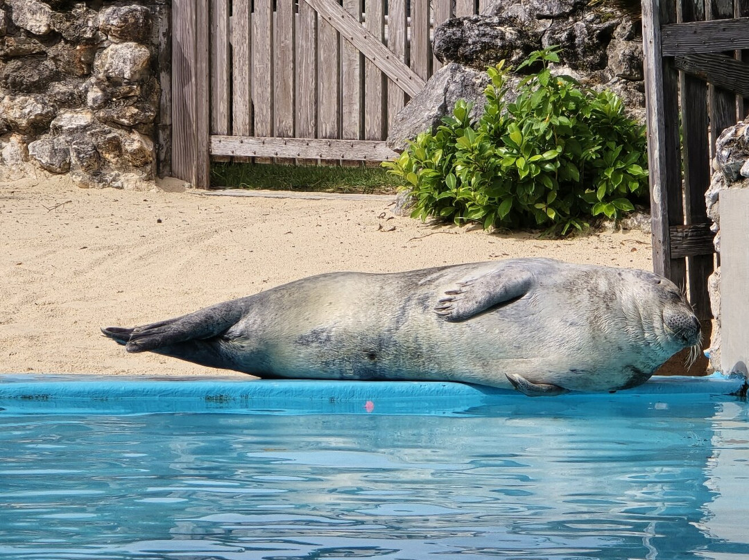 Bermuda Aquarium, Museum & Zoo-Hamilton Parish必去景点