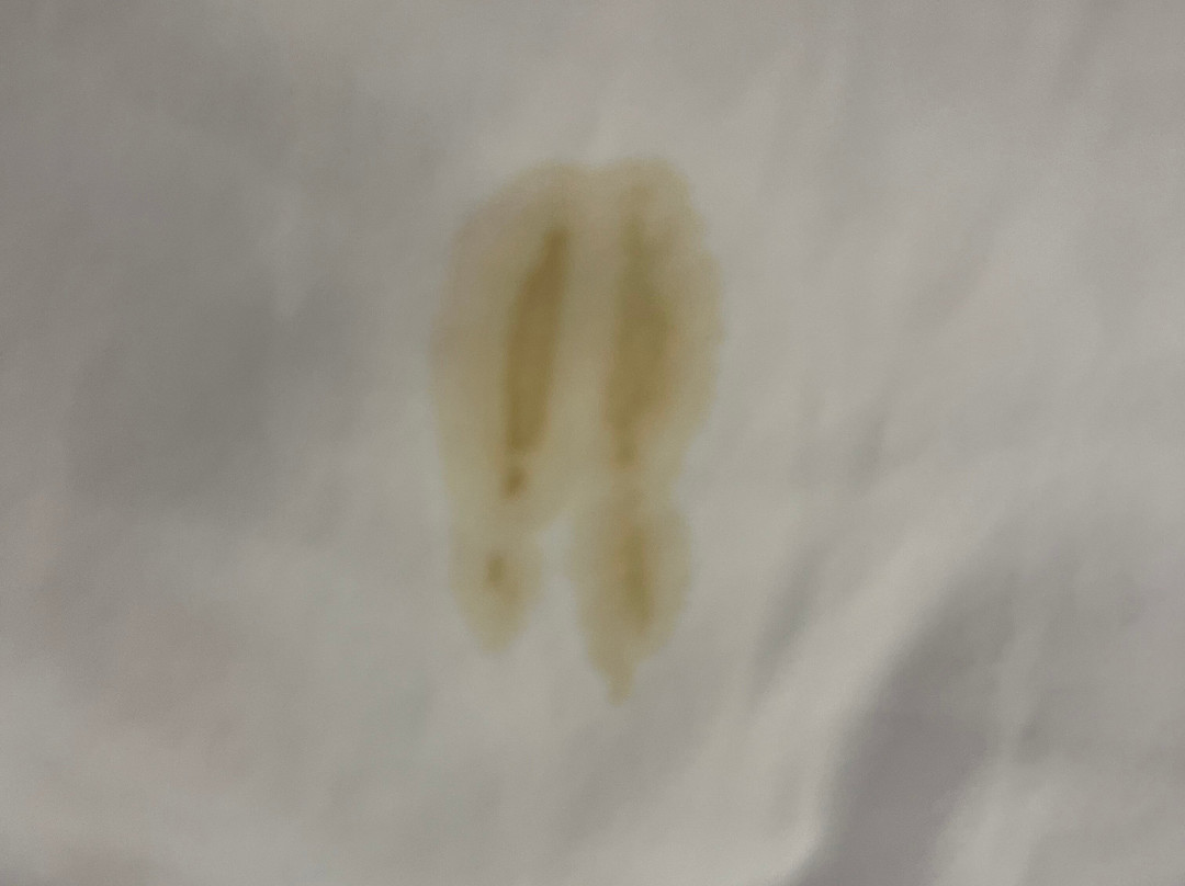 Pear Tree Inn Cape Girardeau Near the Medical Center主图