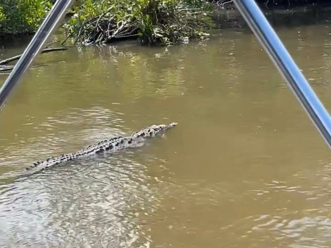 Barrett Adventures-蒙特戈贝必去景点