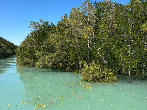 Kimberley Cultural Adventures-布鲁姆必去景点