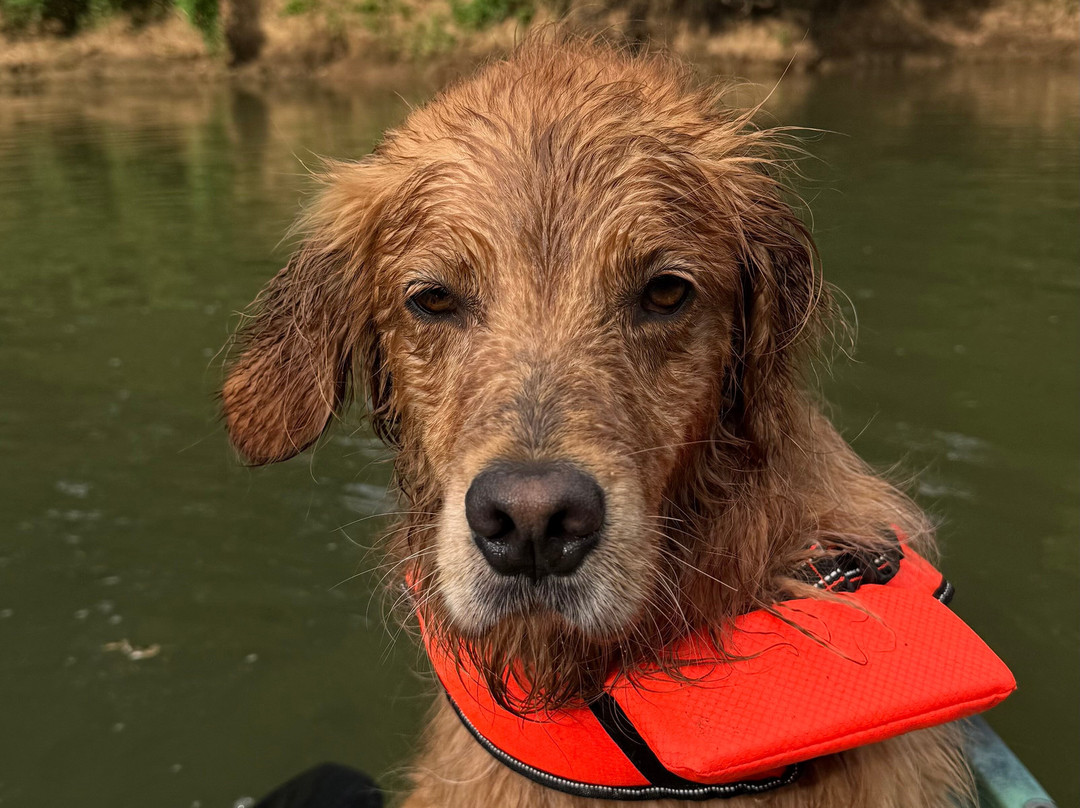 Higher Pursuits-哥伦比亚必去景点