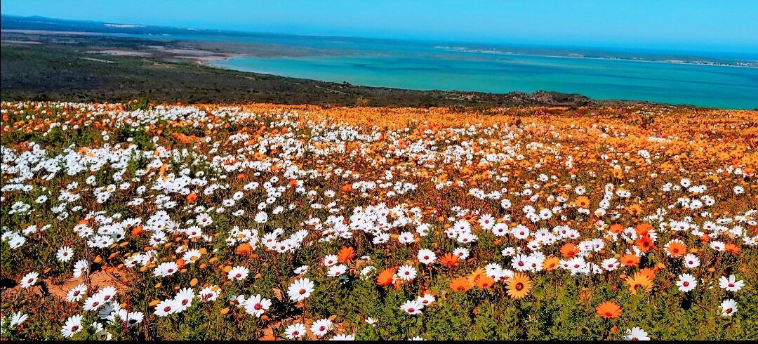 West Coast National Park-West Coast National Park必去景点