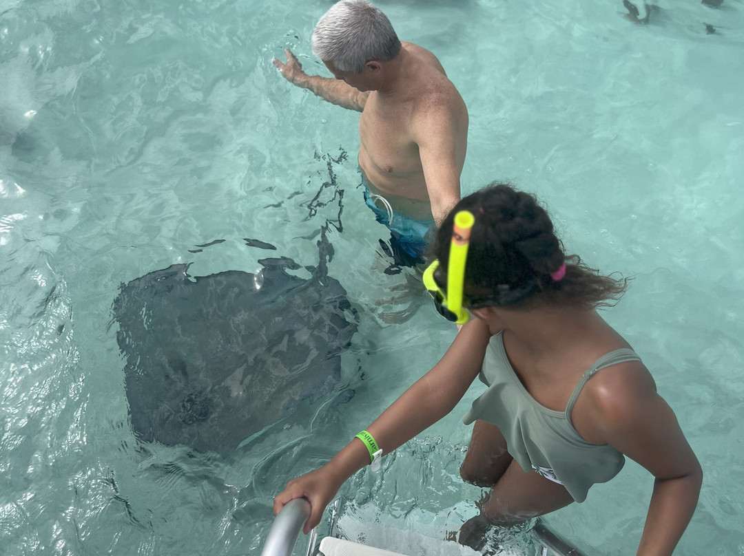 Cayman Private Charters-乔治城必去景点