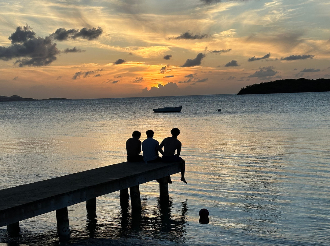 Bungalows on the Bay主图