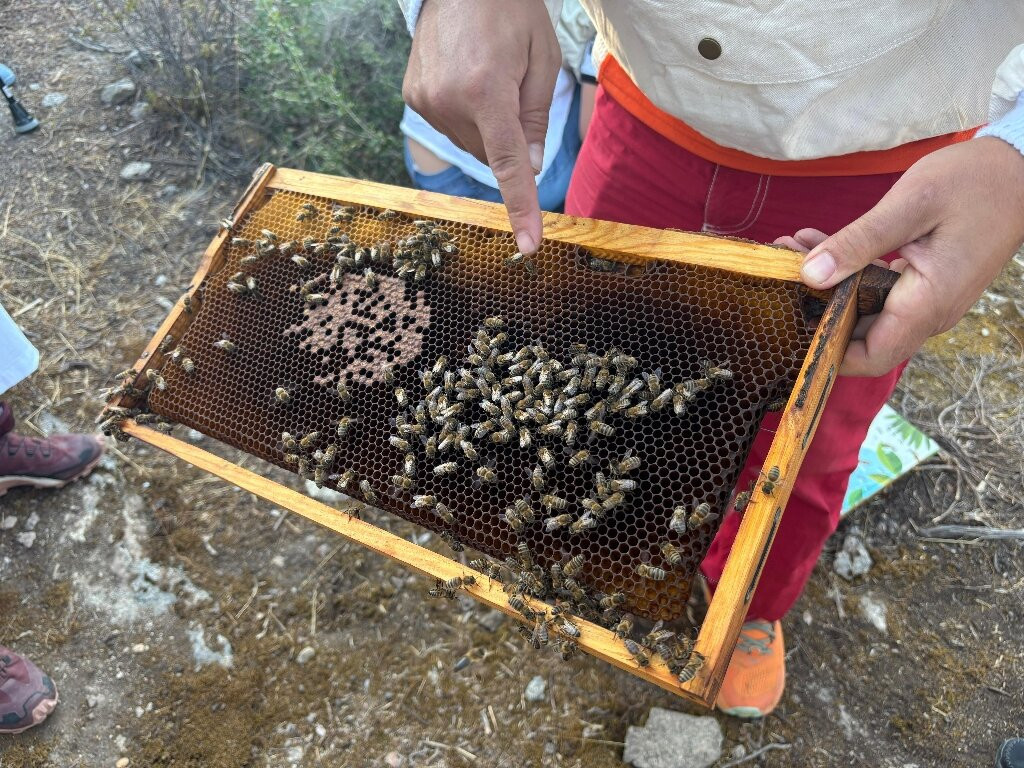 Ikarian Footprints-Ikaria必去景点