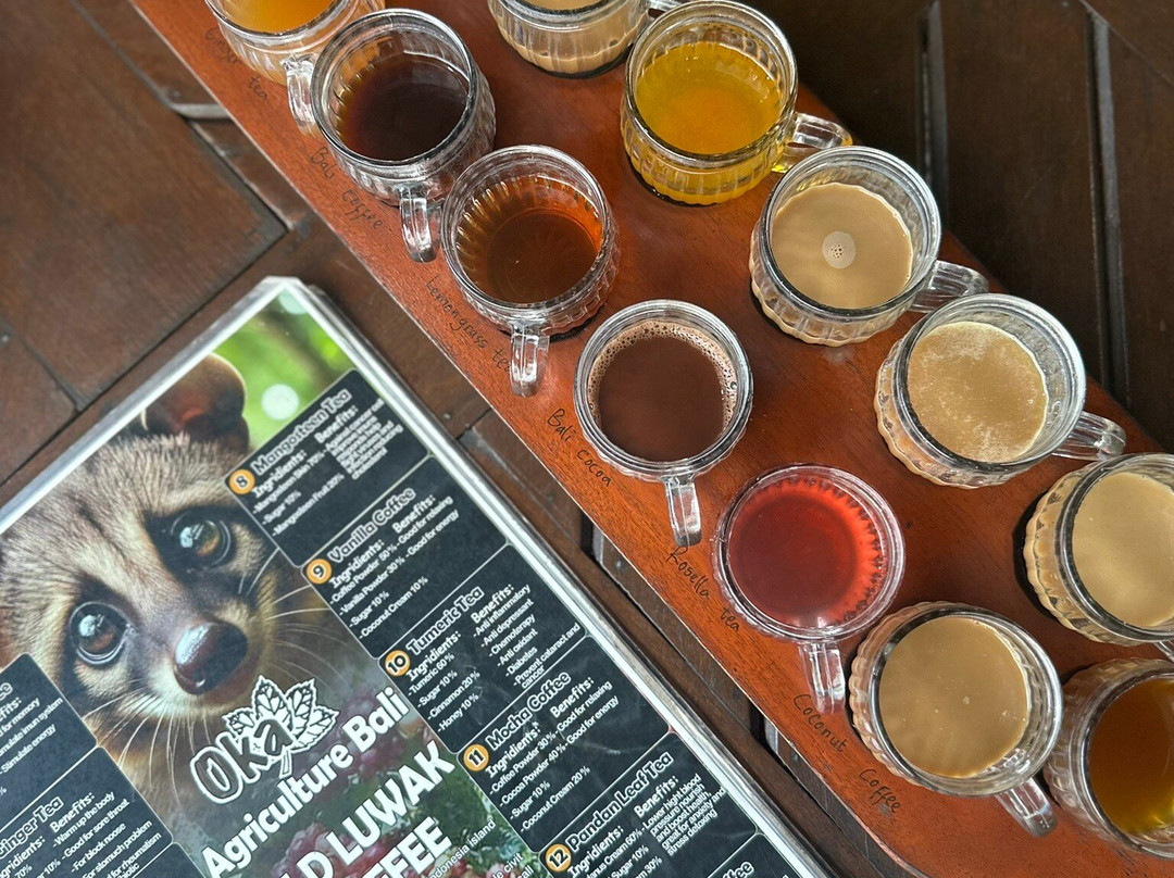 OKA Agriculture Bali-Bangli必去景点