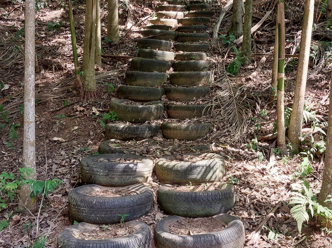 Pousada Cheiro de Mato主图