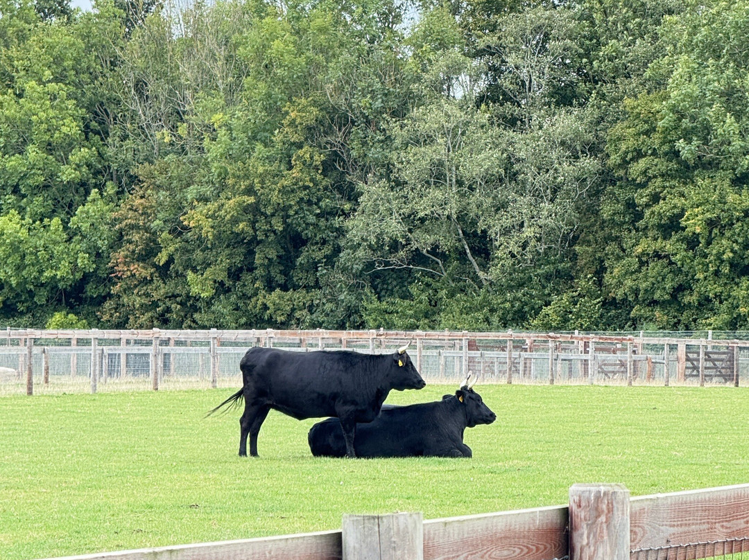 Newbridge House & Farm-Donabate必去景点