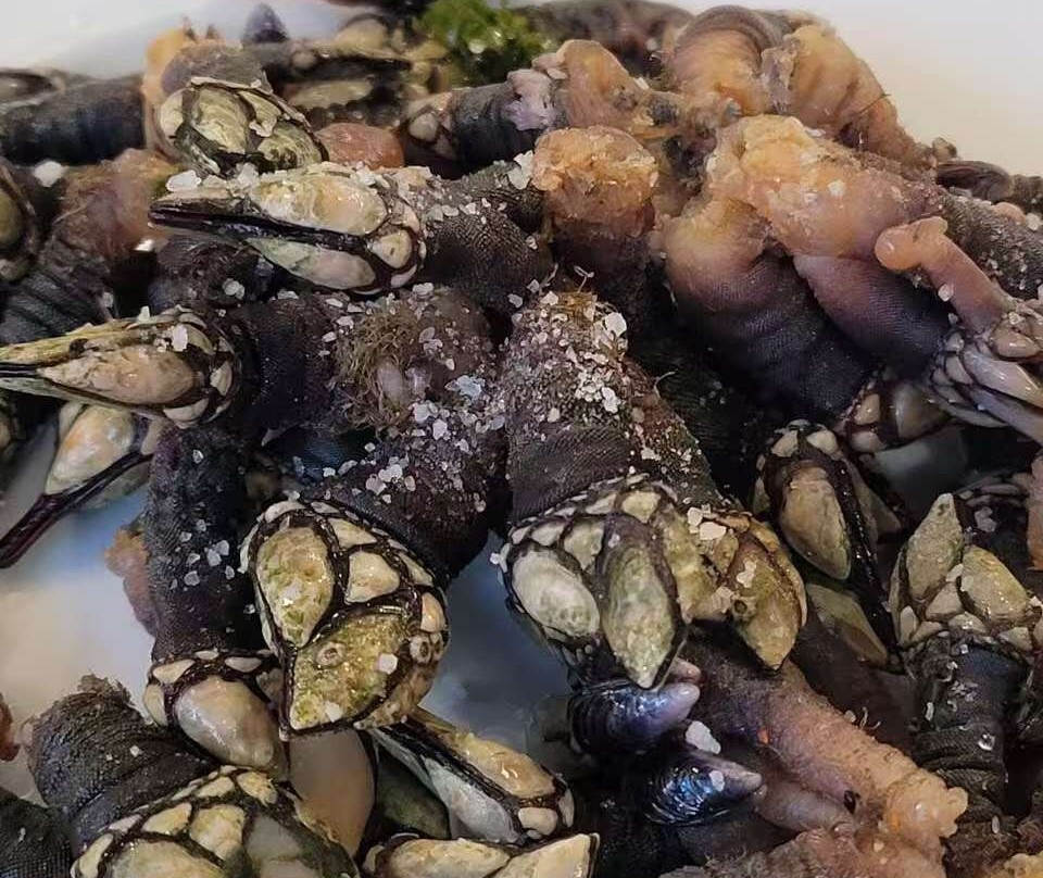 Mariscaria - Bom Sucesso