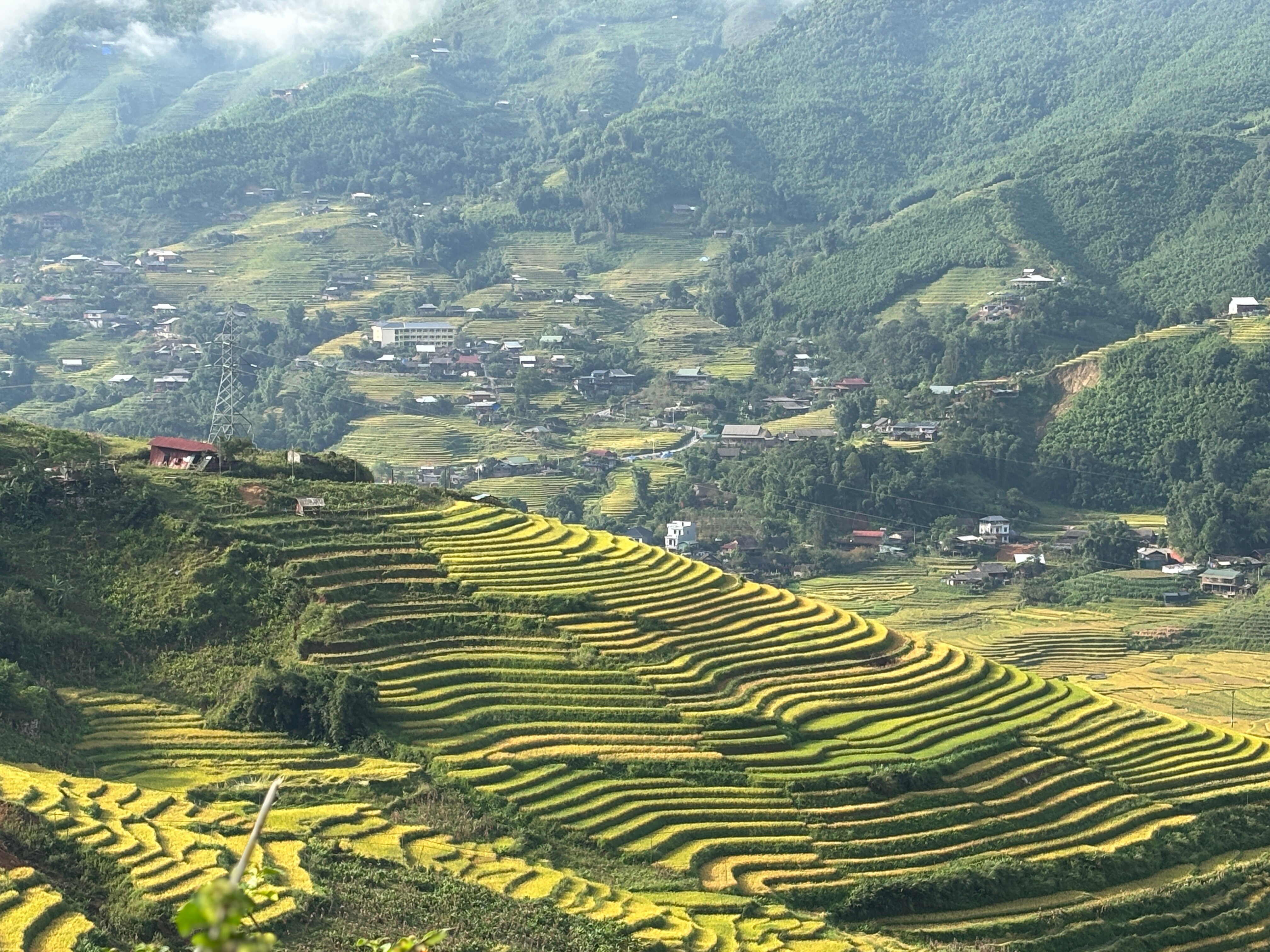 Eco Palms House-酒店景观