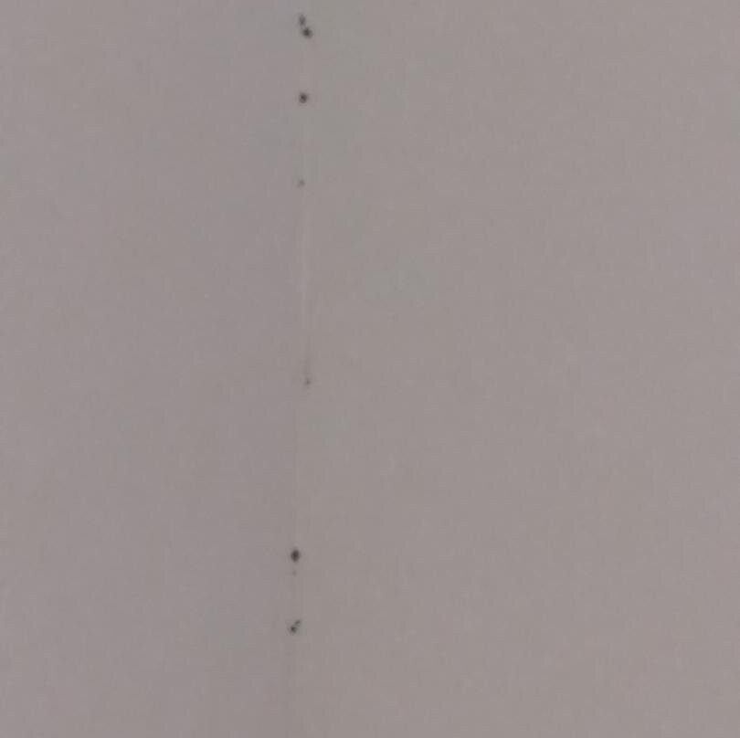 Quality Inn and Suites Mount Dora主图